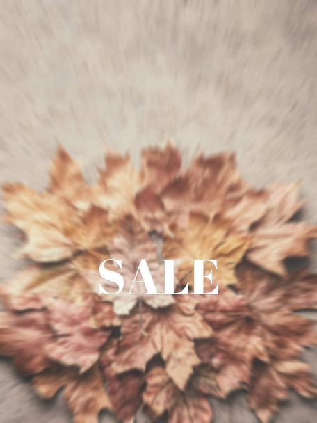 Sale Maple autumn withered dried leaves Background - Photo, Image