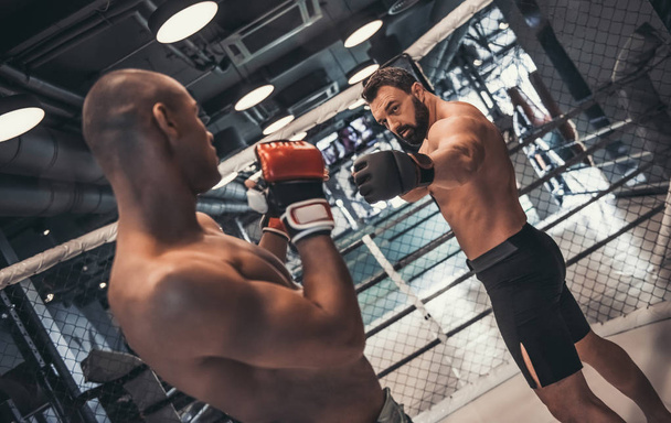zwei Männer in Boxhandschuhen und kurzen Hosen kämpfen im Käfig - Foto, Bild