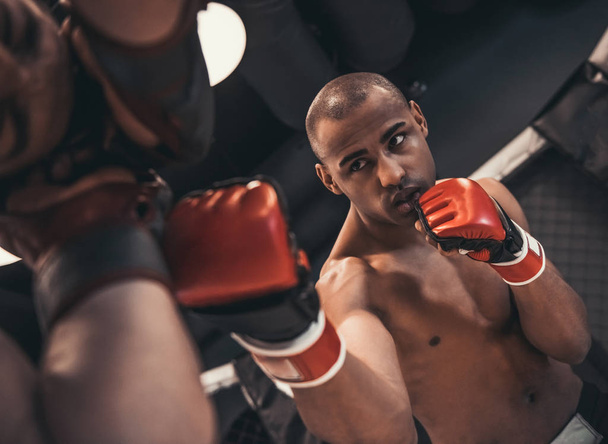 Dva muži v Boxerské rukavice a šortky bojují v kleci - Fotografie, Obrázek