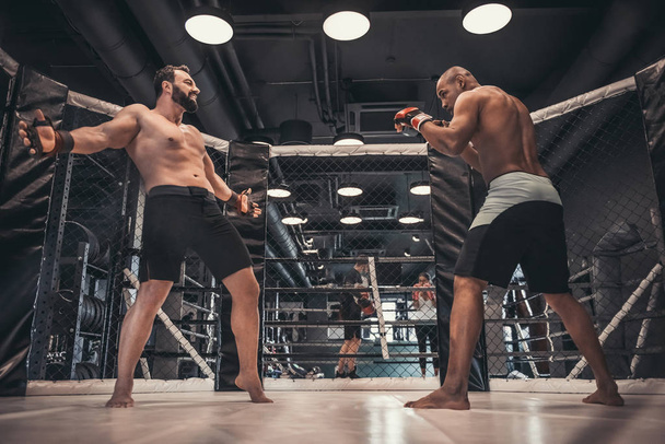 Kaksi miestä nyrkkeilyhanskoissa ja shortseissa taistelee häkissä.
 - Valokuva, kuva
