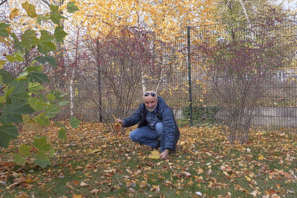 Un hombre maduro agachado sobre la hierba con hojas caídas. Otoño, octubre
 - Foto, imagen