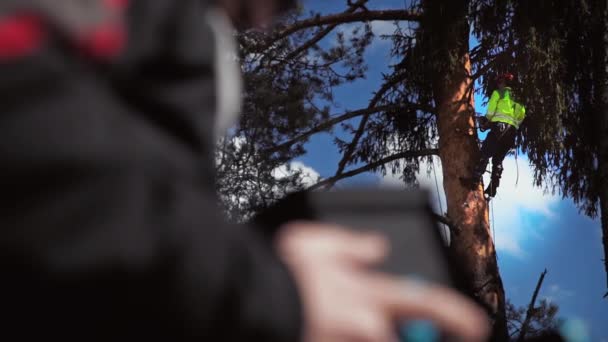 A lumberjack chopping a tree in the foreground in the defocus of the male hand of the drone pilot - Footage, Video