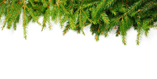 Christmas tree fir frame isolated on white background - Foto, Imagem
