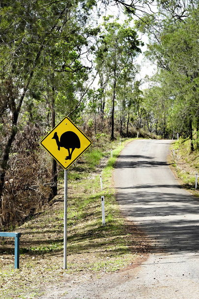 Cassowary Zarejestruj poboczu w North Queensland Australia - Zdjęcie, obraz
