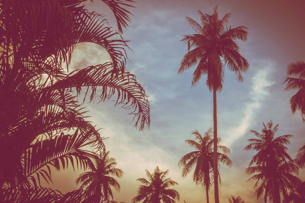 Beautiful outdoor view with tropical nature and silhouette coconut palm tree on the sky at sunset time - Vintage Filter - Photo, Image
