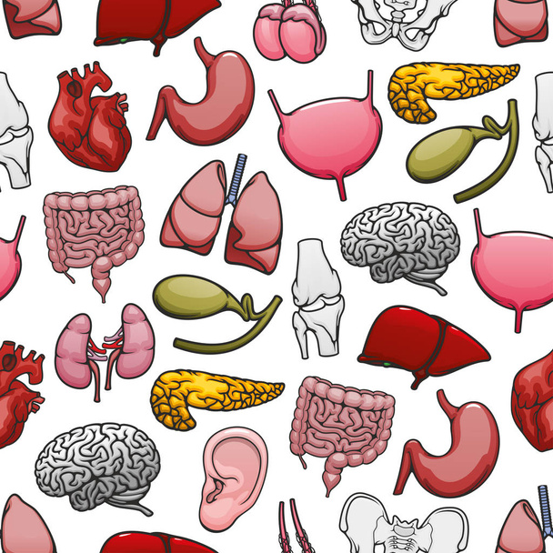 Ihmisen elimet ja luut lääketieteellinen saumaton kuvio
 - Vektori, kuva