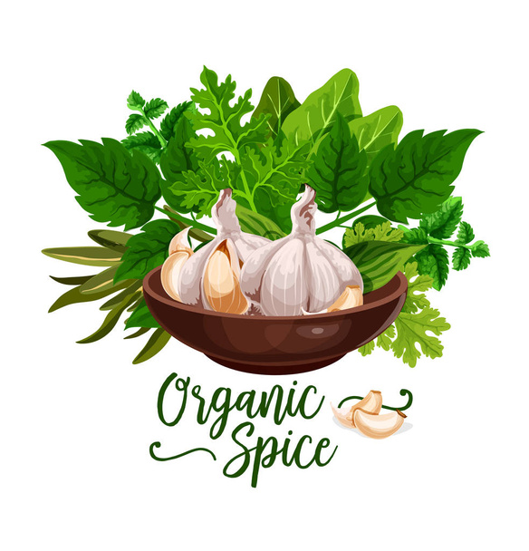 Organic spices and cooking herb ingredient poster - Vector, Image