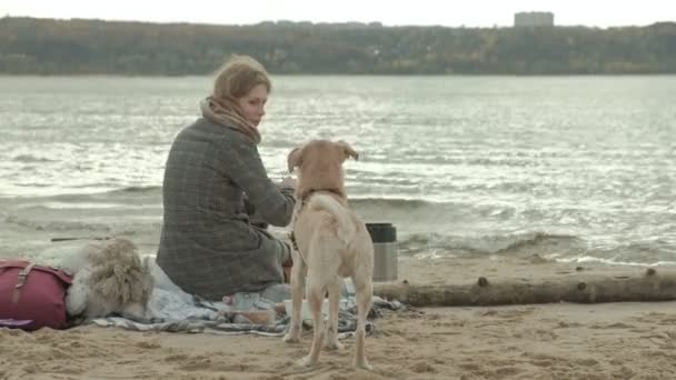 eine junge Frau im Mantel sitzt am Strand am Fluss, Meer, macht ein Picknick, ein brauner Hund spielt in der Nähe, kaltes Wetter - Filmmaterial, Video