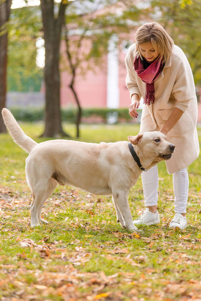 Beautiful young woman walks with her retriever in the park in autumn. Sit together. - Foto, Imagem
