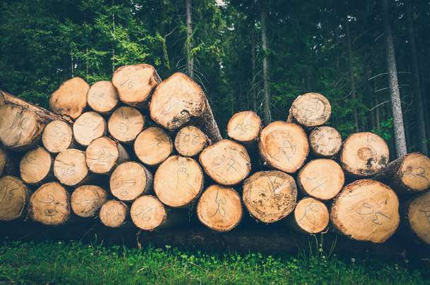 Стволы деревьев с указанным диаметром ствола дерева, сложенные на земле - в стиле ретро
 - Фото, изображение