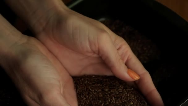 Mujer mano tomando un puñado de semillas de línea en luz natural
 - Metraje, vídeo