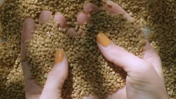 Frau nimmt eine Handvoll Basmatireis in natürlichem Licht - Filmmaterial, Video