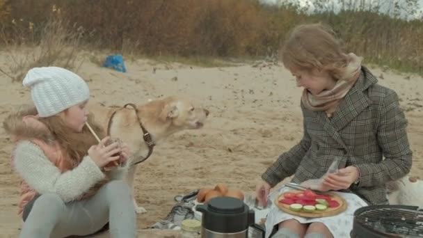 junge Frau im Mantel mit einem Mädchen mit lockigem Haar, Mutter und Tochter, sitzen am Strand am Fluss, Meer, picknicken, trinken heißen Tee, schneiden Gemüse, füttern den Hund ein Leckerli, kaltes Wetter - Filmmaterial, Video