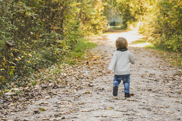 A baby playing on a forest path in autumn - Foto, Imagen