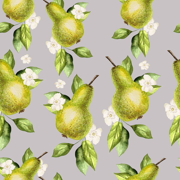 Watercolor Pattern with pears and flowers.  - Photo, Image