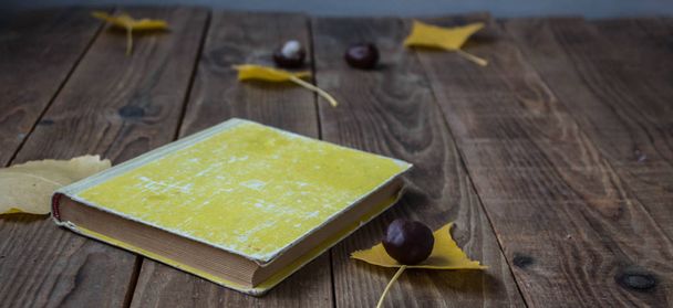 ein Buch gelb Blätter Kastanien auf Holzgrund - Foto, Bild