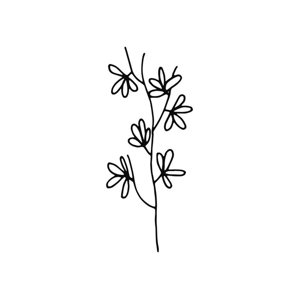 plant twig with leaves stem icon. sketch isolated. - ベクター画像