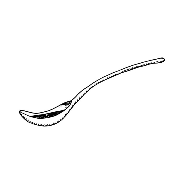 spoon drawing icon. sketch isolated object. - Vector, afbeelding
