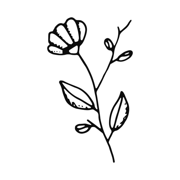 flower sketch icon. isolated object. - ベクター画像