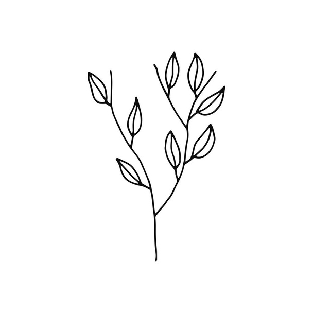 plant twig with leaves icon. sketch isolated. - ベクター画像