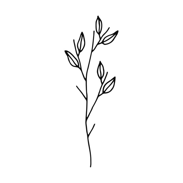 plant twig with leaves icon. sketch isolated object. - ベクター画像