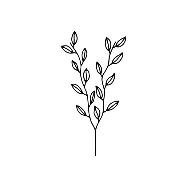 plant twig with leaves icon. sketch. - ベクター画像