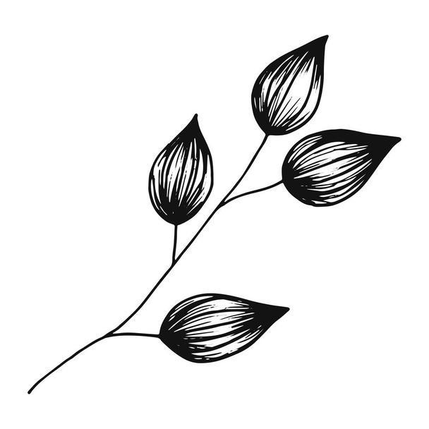 leaves on branch vector isolated silhouette. - Vektor, obrázek