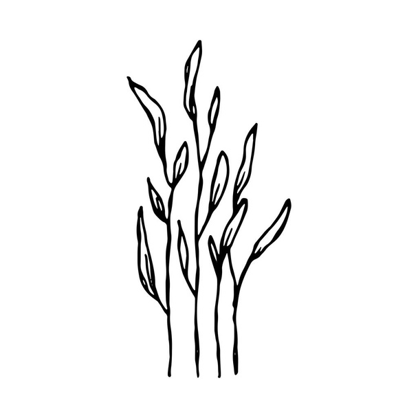 leaves on a branch. isolated silhouette. - Vektör, Görsel