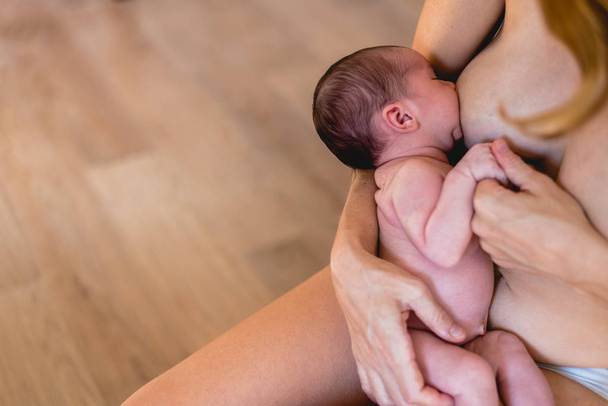 生まれたばかりの赤ちゃんを母親の乳房から母乳を吸う. - 写真・画像
