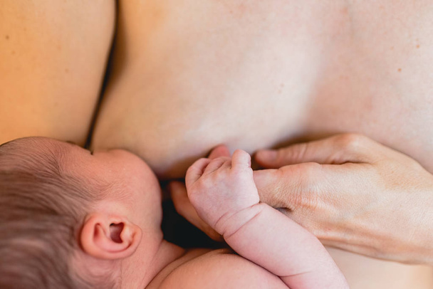 Neugeborenes Säugling saugt Stillen von der Brust seiner Mutter. - Foto, Bild