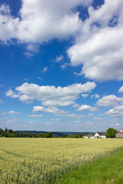 casa de aldeia rural no horizonte sob céu azul perto de campo de milho no sul da alemanha campo
 - Foto, Imagem