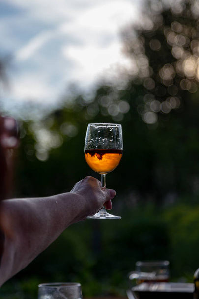 Wine glass in hand - Fotoğraf, Görsel