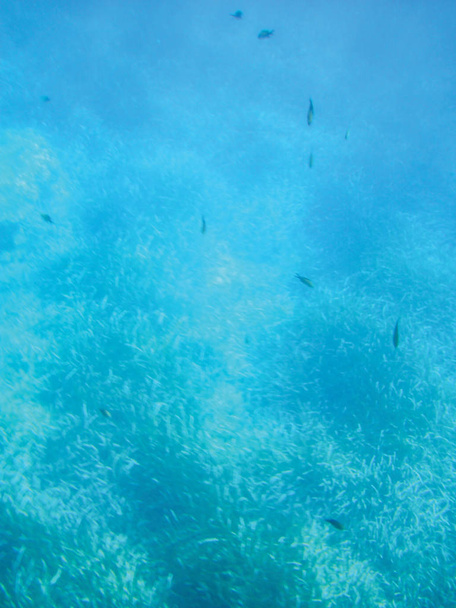 морські рифи підводний фон одиниці ізольовані
 - Фото, зображення