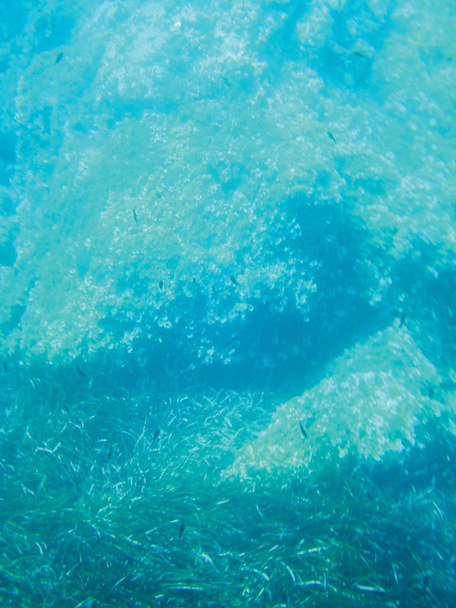 arrecifes marinos unidad de fondo submarino aislado
 - Foto, Imagen