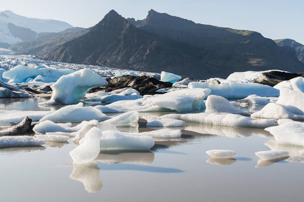 Ice floating and melting in Fjallsarlon lagoon, Iceland. Bird shaped piece of ice on the foreground. - Photo, Image