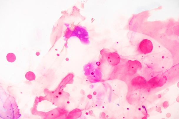 beautiful violet and beige splashes of alcohol inks on white as abstract background - 写真・画像