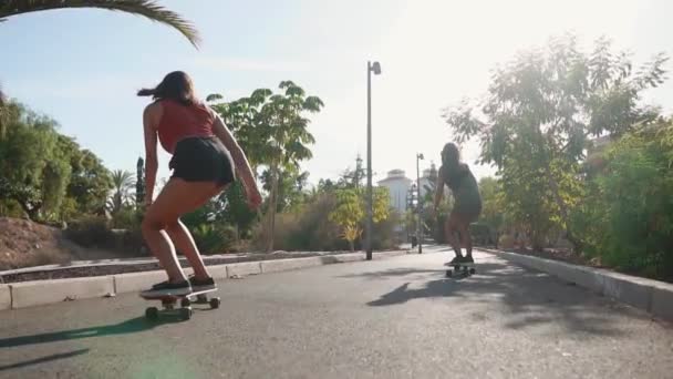Summer on the island of young girls on longboard rides in short shorts on the road near the beach and palm trees - 映像、動画
