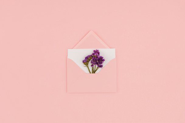 top view of open pink envelope with white card and small purple flowers isolated on pink  - Photo, Image