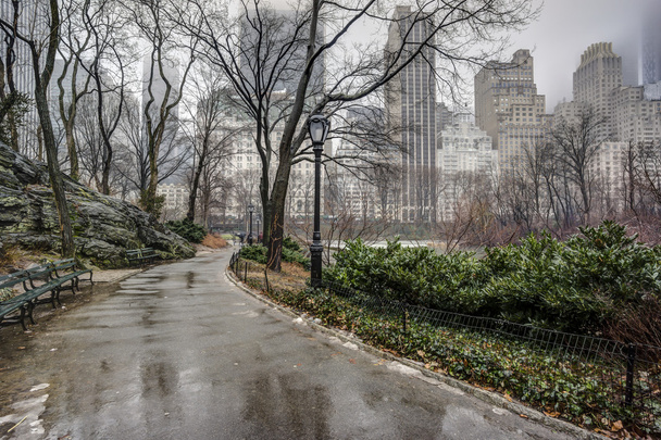 Central park, new york city na regen storm - Foto, afbeelding
