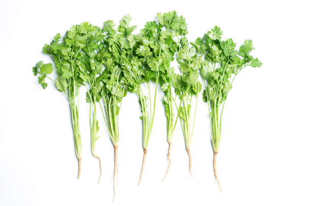 bunch of fresh coriander leaves over white background - Foto, afbeelding