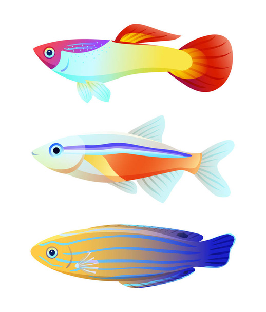 Aquarium fish silhouette isolated on white icons - Wektor, obraz
