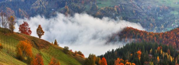 lever du soleil d'automne dans les Carpates. matin brumeux pittoresque
 - Photo, image
