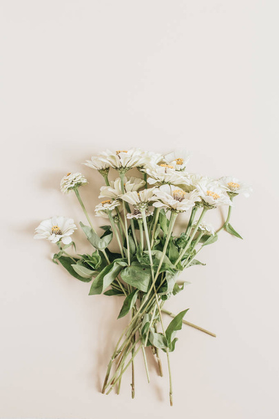 Cynicism flowers bouquet on beige background. Flat lay, top view. - Foto, immagini