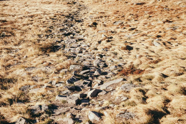 zár-megjelöl szemcsésedik-ból sziklák feküdt grass valley-hegyen, Kárpátok, Ukrajna - Fotó, kép