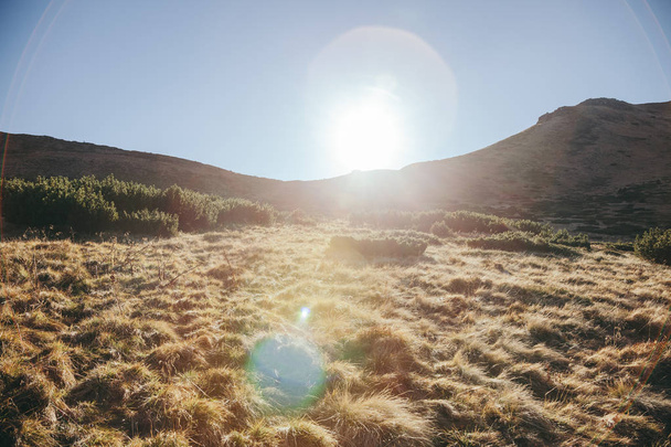 kaunis vuoristomaisema auringonvalolla leimahtaa, Karpaatit, Ukraina
 - Valokuva, kuva