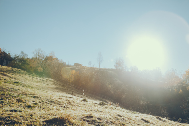 prachtige berg grasland in Vorokhta op zonnige dag, Karpaten, Oekraïne - Foto, afbeelding