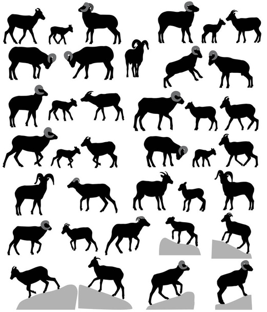 Collection de silhouettes de mouflons, béliers et agneaux
 - Vecteur, image