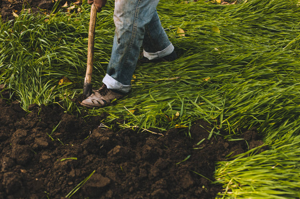 Man digging the garden. Spud the soil. Man digs a hole to plant a tree. Man loosens dirt in the farmland, gardening,  agriculture and tough work concept - Photo, Image