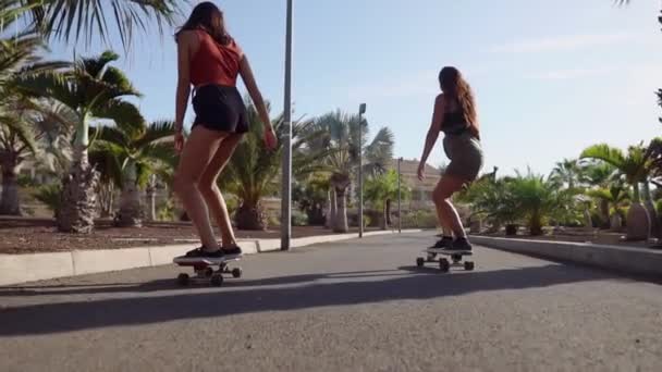 Zwei Mädchen auf Skateboards in kurzen Hosen fahren in Zeitlupe die Straße entlang am Strand und unter Palmen entlang. das Konzept eines gesunden Lebensstils - Filmmaterial, Video