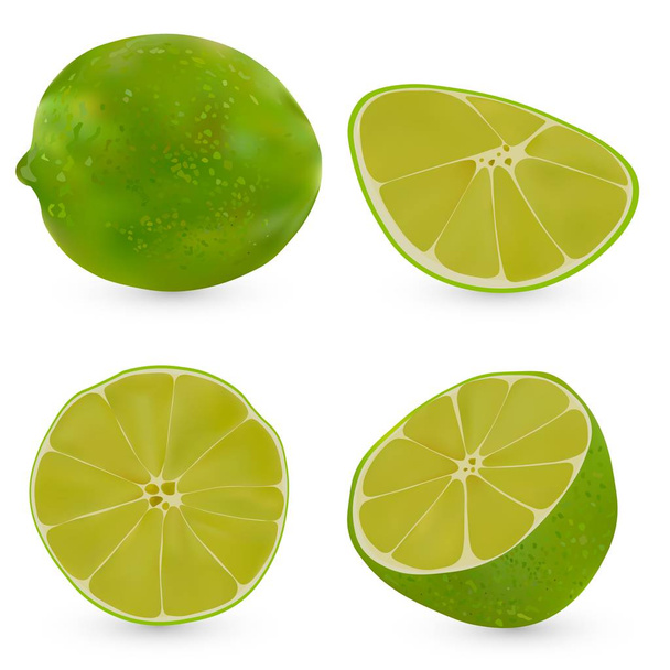 Vector realistic whole lime and half a lime isolated on white background. Isolated lime on white backgrpund. Citrus fruit. - Vector, Image